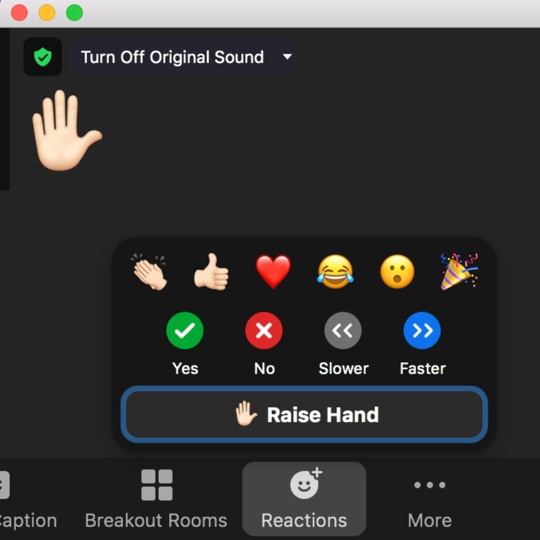 Zoom's Reactions Feature includes Emojis, Raise Hand, and many more.